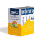 Epic Xylitol Chewing Gum  Sugar Free  Aspartame Free Chewing Gum Sweetened wXylitol for Dry Mouth  Gum Health Fresh Fruit 12Piece Pack 12 Packs