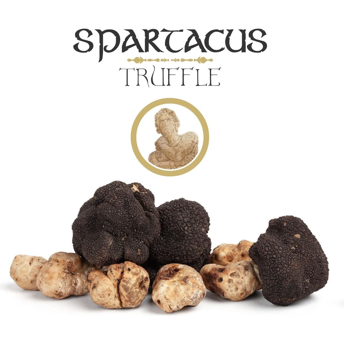 Spartacus CARPACCIO Black Truffles Preserved in Extra Virgin Olive Oil Perfect Gourmet Condiment for Pizza Pasta Salads Potatoes Meat and Eggs Vegan Gift IDEA 40 g