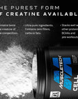 Muscletech Performance Series Creactor Fruit Punch Extreme 269 Grams 119 SERVINGS