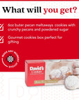 Davids Cookies Gourmet Butter Pecan Meltaway Singles  Gourmet Cookie Snacks With Crunchy Pecans and Powdered Sugar  Pure Creamy Butter Recipe  Delicious Heavenly Flavors Food Gift 6 Oz