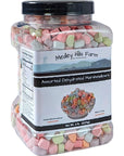 Assorted Dehydrated Marshmallows in Reusable Container by Medley hills farm  dehydrated marshmallow bits  Cereal marshmallows  Perfect mini marshmallows for hot chocolate