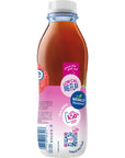 Snapple Zero Sugar Raspberry Tea 16 fl oz recycled plastic bottle Pack of 12