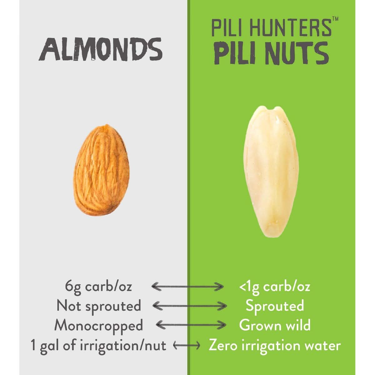 Pili Hunters  Wild Sprouted Pili Nuts Traditional Fried Avocado Oil 5 oz Bag KetoPaleoVegan Snacks Low Carb Energy Gluten Free Superfood The Original As Seen on TV