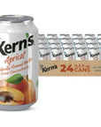 Kerns Apricot Nectar 113 Fl Oz Pack of 24