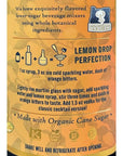 Portland Syrups Meyer Lemon Syrup  Premium Beverage Concentrate for Delicious Cocktails Tea Soda Coffee Drinks Baking and More  12 oz with 24 Servings Pack of 2