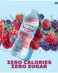 SPLASH Water Beverage with Natural Fruit Flavor Wild Berry Flavor 169 fl oz  Pack of 6 with Supreme Box