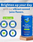 Tamaya Blueberry Juice  Pure Blueberries Fresh Pressed With No Sugar Added  Delicious Refreshing Juice  No Gluten Vegan Friendly  No Water Mix Not From Concentrate 675 Fl Oz Mini Cans Pack of 12 Chile