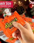 Reeses Milk Chocolate Peanut Butter Cups Bulk  Individually Wrapped Miniature Peanut BiteSize Treat Candies Snack Encased in a Crunchy Milk Rich Chocolate Shell Melt in Your Mouth Craving 5lb Bag Party Candy