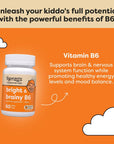 Renzo's Bright & Brainy Vitamin B6 - Vegan Vitamins for Kids, Dissolvable and Easy to Take B6 Vitamins for Kids, Zero Sugar, Oh-Oh-Oh Orange Flavor, [60 Melty Tabs]