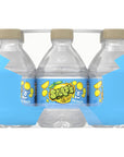 Splash Refresher Lemon Flavored Water 8 Fl Oz Plastic Bottle Pack of 12