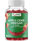 Apple Cider Vinegar Gummies - 60 Count