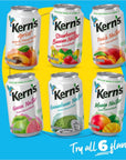 Kerns Apricot Nectar 113 Fl Oz Pack of 24