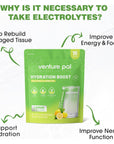 Venture Pal Sugar Free Electrolyte Powder Packets - Liquid Daily IV Drink Mix for Rapid Hydration & Party Recovery | 5 Vitamins & 7 Electrolytes| Keto Friendly | Non-GMO | Certified Vegan | 16 Sticks