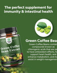 Pure Green Coffee Bean Extract - 800 mg Green Coffee Extract Caffeine Energy Pills - 50% Green Coffee Antioxidant Nutritional Supplements for Brain Health and Immune Support with Brain Vitamins