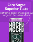 MACHU PICCHU Organic Energy Drink Sugar Free Pineapple Blueberry Flavor Pack 12 Fl oz Pack of 12 Organic Caffeine Energy Drink No Preservatives