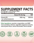 REMEDIATE Vitamin B12, Methylcobalamin 5000 mcg, Energy Production, Red Blood Cells Formation & Healthy Nervous System, Vegan, Natural Peach Flavor, No Sugar, Non-GMO, 90 Fast Dissolve Tablets