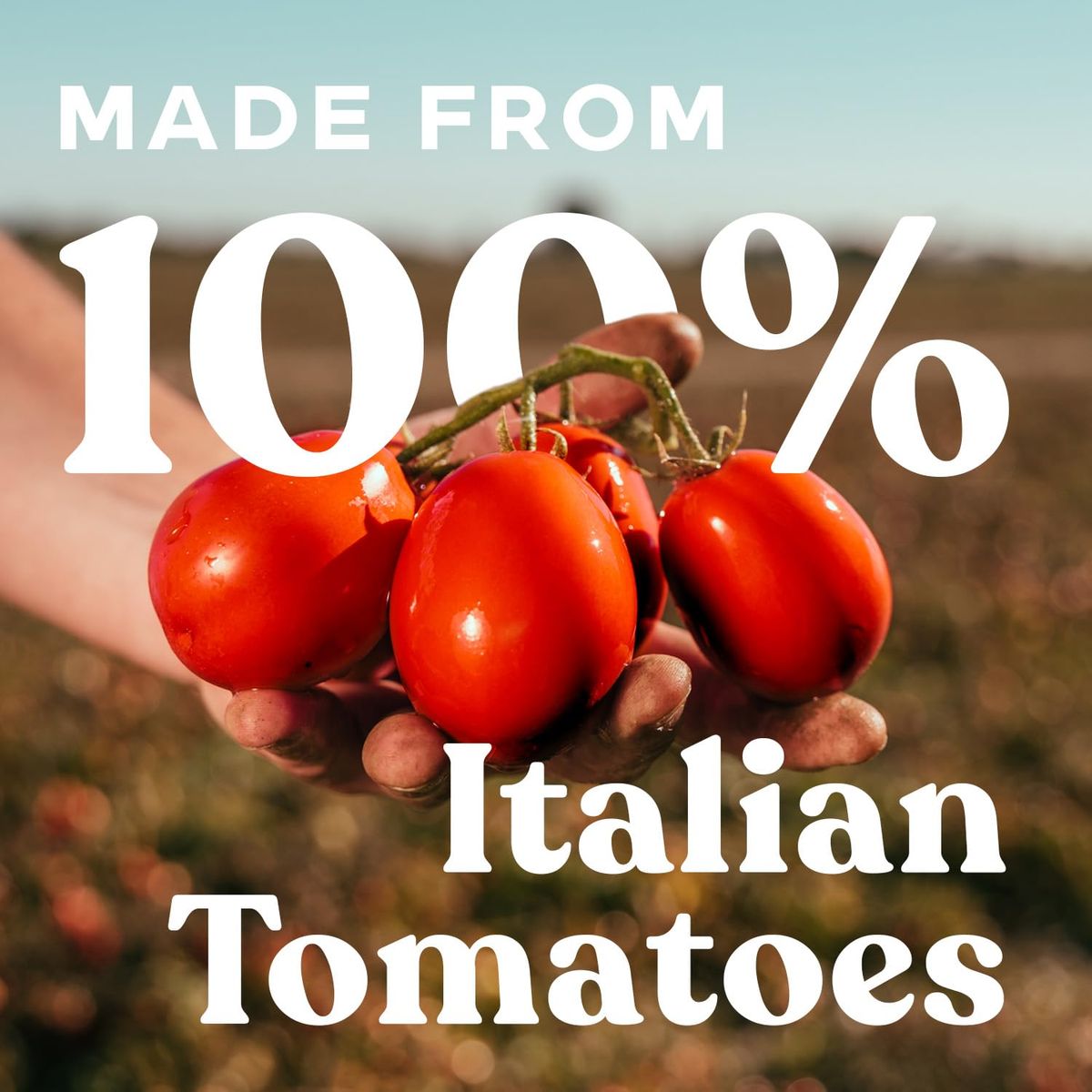 Pomì Tomato Juice  Made from 100 Fresh Italian Pomi Tomatoes  Low Sodium Tomato Juice  Gluten Free Vegetable Juice  Low Sodium Vegetable Juice  2536 fl oz Pack of 1