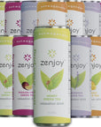 Zenjoy Variety 12 Pack  Calming Drink with Ashwagandha  Lemon Balm  NonAlcoholic Beverage Infused with LTheanine for Enhanced Focus  12oz Cans