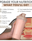 UpNourish Plant-Based Protein Meal Replacement Shake! Keto, Vegan-Friendly Lifestyles. Gluten & Dairy-Free Smoothie with Essential Vitamins, Minerals, and Low Carbs - Strawberry Banana, 15 Servings