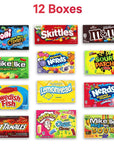 Movie Theater Candy Variety Pack  Candy Box of Skittles MMs Milk Chocolate SourPatch Swedish Fish Trolli Sour Brits Mini Gummies and More12 Count