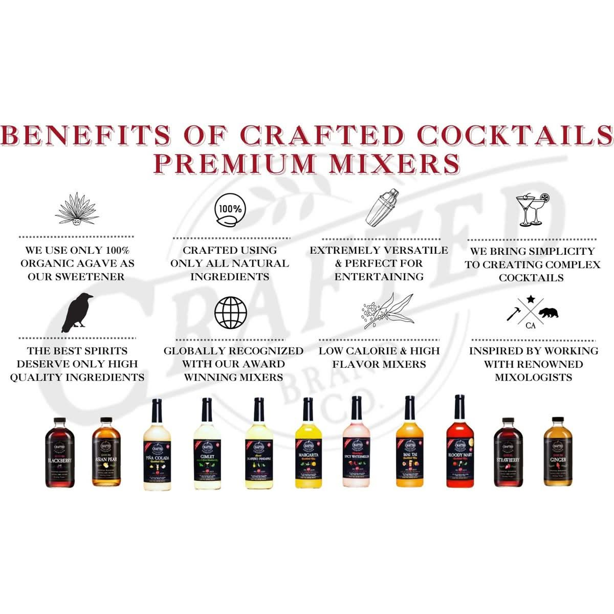 Crafted Cocktails Premium Dirty Martini Mix  2Pack 127 FL OZ Each