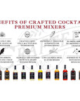 Crafted Cocktails Premium Dirty Martini Mix  2Pack 127 FL OZ Each