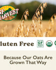 GF Harvest Gluten Free Organic Quick Oats 32 Ounce Bag Pack of 2