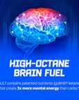 VAULT Caffeine Free Brain Energy Drink  Nootropic for Mental Focus Sharpness Memory and Reaction Time  No Crash or Jitters  Sugar Free  12 Fl Oz Pack of 12  Sour Watermelon Flavor