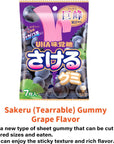 Japanese Gummy Candies 6pcs Set 13oz Various Chewiness Soft Hard Fruity Soda Cola Great for Snacks or Gifts HiChew Candy included as an Extra