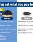 Nestor Premium Dried Big Blueberries 1 lb NonGMO No Preservatives Unsulfured Sweetened Dehydrated Blueberry Dried Fruits Snacks for Baking Oatmeal SaladsGrown in OR