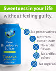 Tamaya Juice Mix Discovery Case NFC Fresh Squeezed pressed juice with No Sugar Added  Delicious Refreshing Juice  No Gluten Vegan Friendly  Refreshing and nutritious beverages Not From Concentrate 675 Fl Oz 2 Mini Cans per flavor Pack of 12 Chile