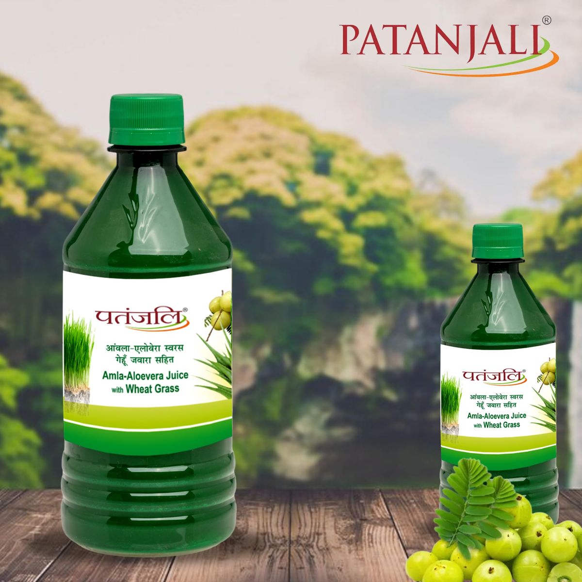 Patanjali AmlaAloevera Juice with Wheatgrass Juice 500ml  1690 fl oz  Pack of 2