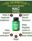 NAC Supplement N-Acetyl Cysteine. Vegan Glutathione Precursor 600mg Capsules For Men + Women. Great Antioxidant For Detox, Workout Recovery, Free Radical Protection. N Acetyl L-Cysteine 600 mg Pills