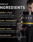 Kaged High Stimulant Pre Workout Powder | Fruit Punch | Pre-Kaged Elite | L-Citrulline | Creatine | Beta Alanine | 388mg Caffeine | Nitric Oxide Booster | 20 Servings