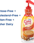 Nestle Coffee mate Coffee Creamer Hazelnut Concentrated Liquid Pump Bottle Non Dairy No Refrigeration 507 Fl Oz Pack of 2