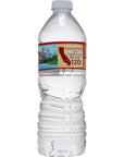 Arrowhead Water Water Spring 169 FZ