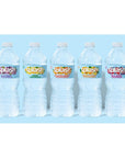 Splash Refresher Acai Grape Flavored Water 169 Fl Oz Plastic Bottle Pack of 6