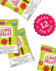 YOU LOVE FRUIT - APPLE & CINNA-SIDEKICK All Natural Fruit Snacks, Healthy Snack Pack, Real Fruit! Gluten Free, Non GMO, Vegan, Fiber packed, Low Fat, Kosher, Variety Pack, Great For Adding To Gift Box, 1.0 oz (Pack of 12)