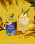 Caleño Light  Zesty Tropical NonAlcoholic Gin  AwardWinning NonAlcoholic Spirit  Expertly Distilled with a Mix of 10 Botanicals  169 Fl Oz 500ml