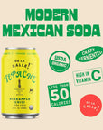 De La Calle Tepache  Pineapple Chili  Modern Mexican Soda  Craft Fermented Pineapple Sparkling Beverage  Certified Organic Antioxidant Rich NonAlcoholic Healthy Soda Low Sugar Low Calorie NonGMO