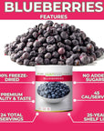 Nutristore Freeze Dried Blueberries  10 Can Fruit  Perfect Healthy Snacks  Bulk Survival Emergency Food Storage Supply  Low CarbCalorie Canned CampingBackpacking Supplies  25 Year Shelf Life