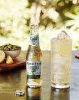 Fever Tree Light Ginger Ale  Premium Quality Mixer and Soda  Refreshing Beverage for Cocktails  Mocktails 200ml Bottle  Pack of 30