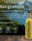 Pure Mangosteen 750ml  Mangosteen the Queen of Fruits with Xanthones Antioxidant Active Compounds and Phytonutrients Properties Natural Fresh Mangosteen Vegan Kosher  GlutenFree