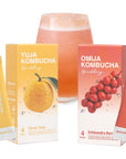 DALAMHARI Kombucha Drink Powder 8T  Schisandra Berry Yuzu Juice  Health Ade Kombucha Synergy Adaptogen Drink Poppi Prebiotic Soda Urban Remedy Kombucha Tea Humm Kombucha Scoby Probiotic Soda