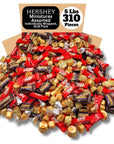 Hersheys Assorted Chocolate Miniatures  Includes Rolo Heath KitKat Kisses And ReesesCups Individually Wrapped Bulk Pack  5 Pound Pack of 1