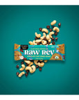 Raw Rev Vegan HighProtein Bars Chocolate Chip Cookie Dough 12g Plant Protein 11g Fiber Keto NonGMO 16 Oz Pack of 12