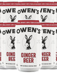 Owens Craft Mixers  Ginger Beer 10 Pack  Handcrafted in the USA with Premium Ingredients  Vegan  GlutenFree Soda Mocktail and Cocktail Mixer