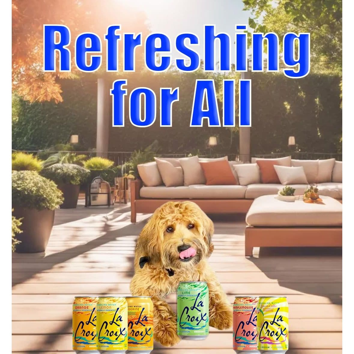 La Croix Sparkling Water  LaCroix Citrus Variety 12 Pack Seltzer Water  La Croix Flavored Carbonated Water Sparkling Water Cans Variety  La Croix Seltzer Variety Pack  LaCroix Sparkling Water