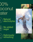 Zico 100 Coconut Water NO added Sugar Refreshingly Delicious Hydration with Electrolytes 169 Fl Oz Pack of 12