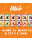 Reign Storm Clean Energy Variety Pack  Fitness  Wellness Drink  6 Flavors  12 Fl Oz Pack of 12